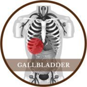 Robotic Gallbladder Surgery